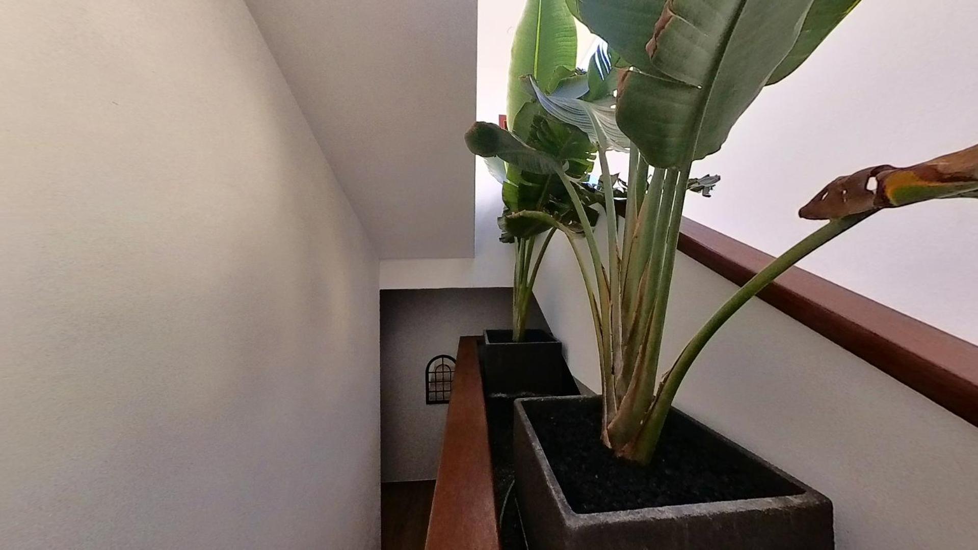Myhome Urban Apartments Puerto del Rosario  Extérieur photo